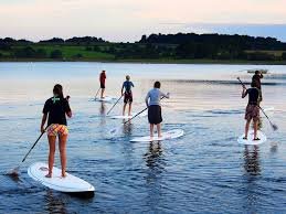 Paddle