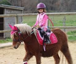 Balade poney