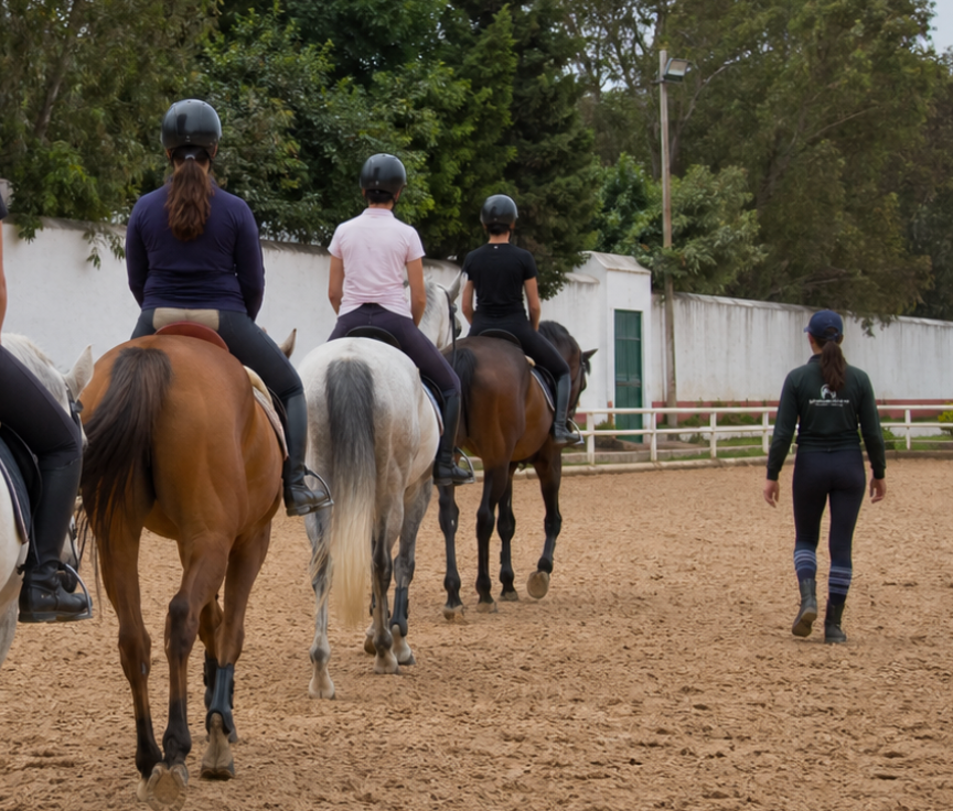 Cours (cheval)